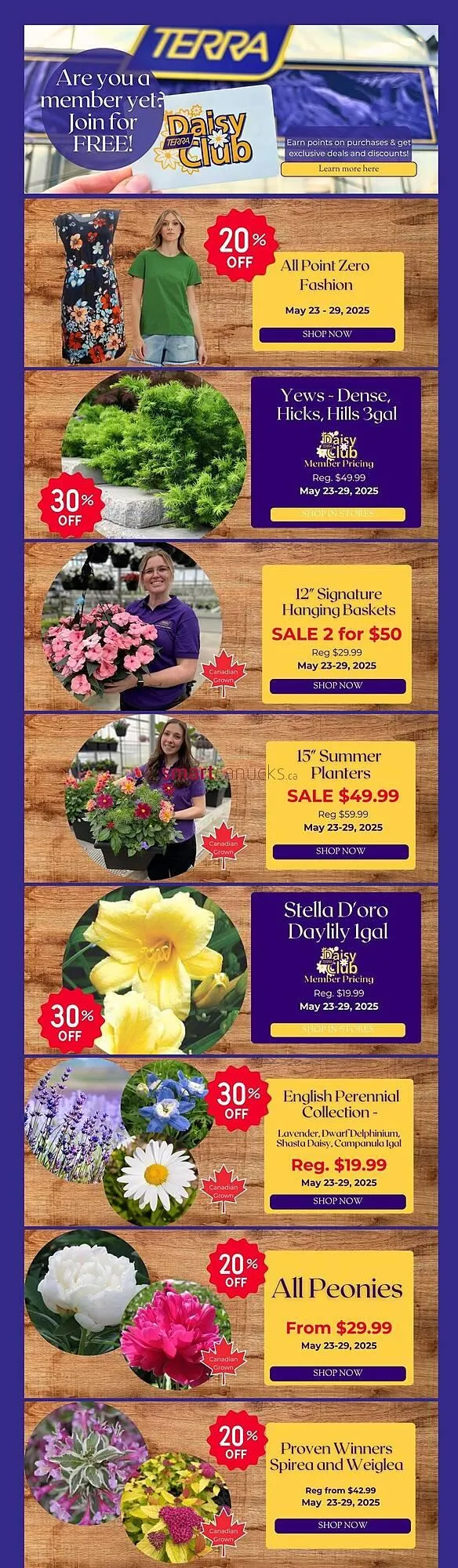 Terra Green Houses flyer - 1