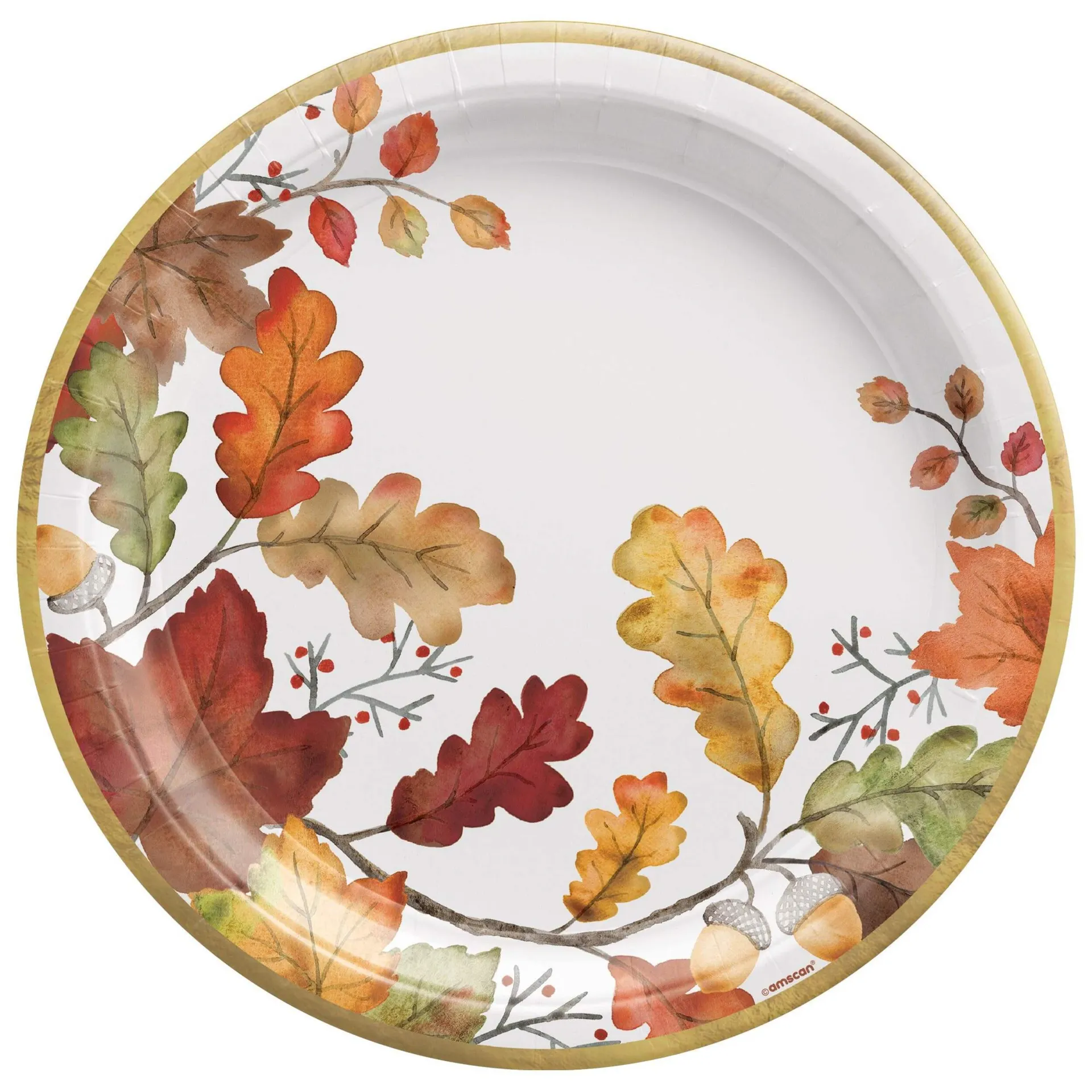 Round Paper Disposable Dinner Plates, White/Orange, 10.5-in, 8-pk, for Fall