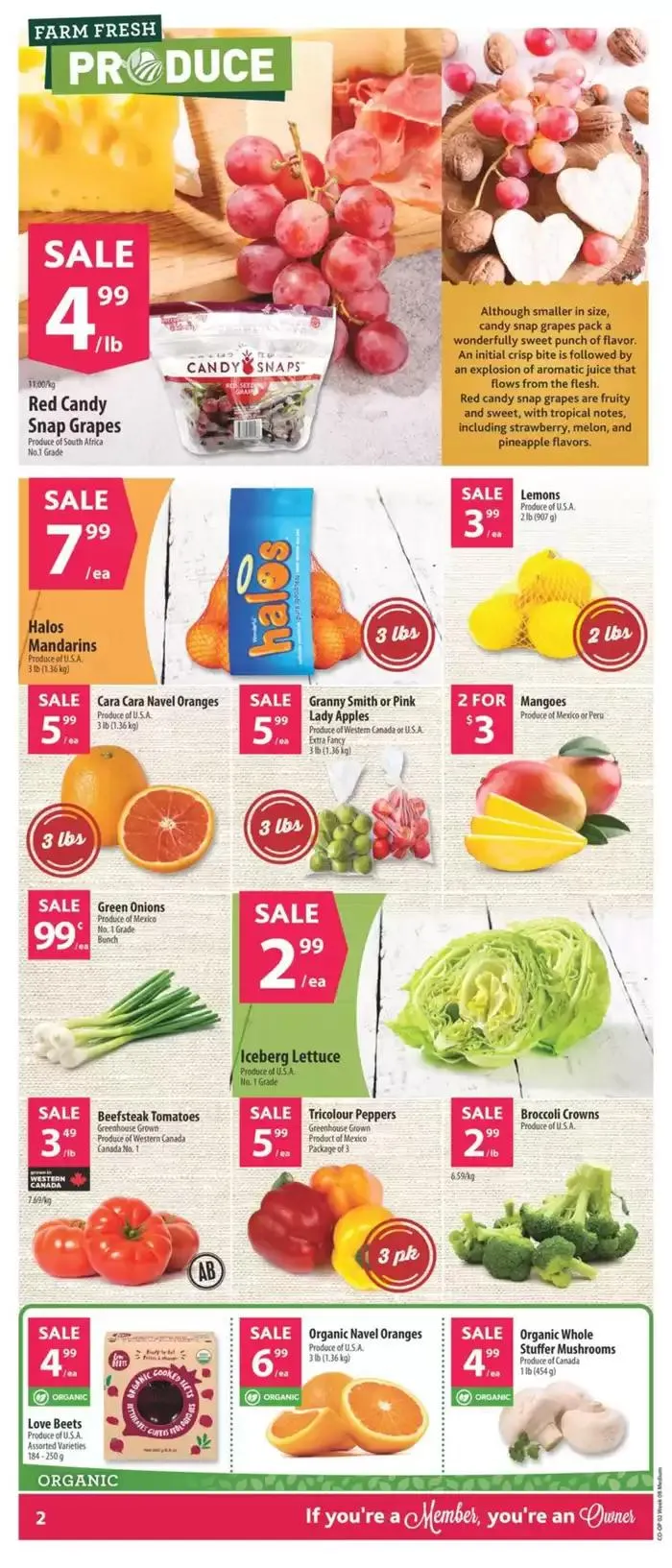 Current deals and offers from February 13 to February 19 2025 - flyer page 4