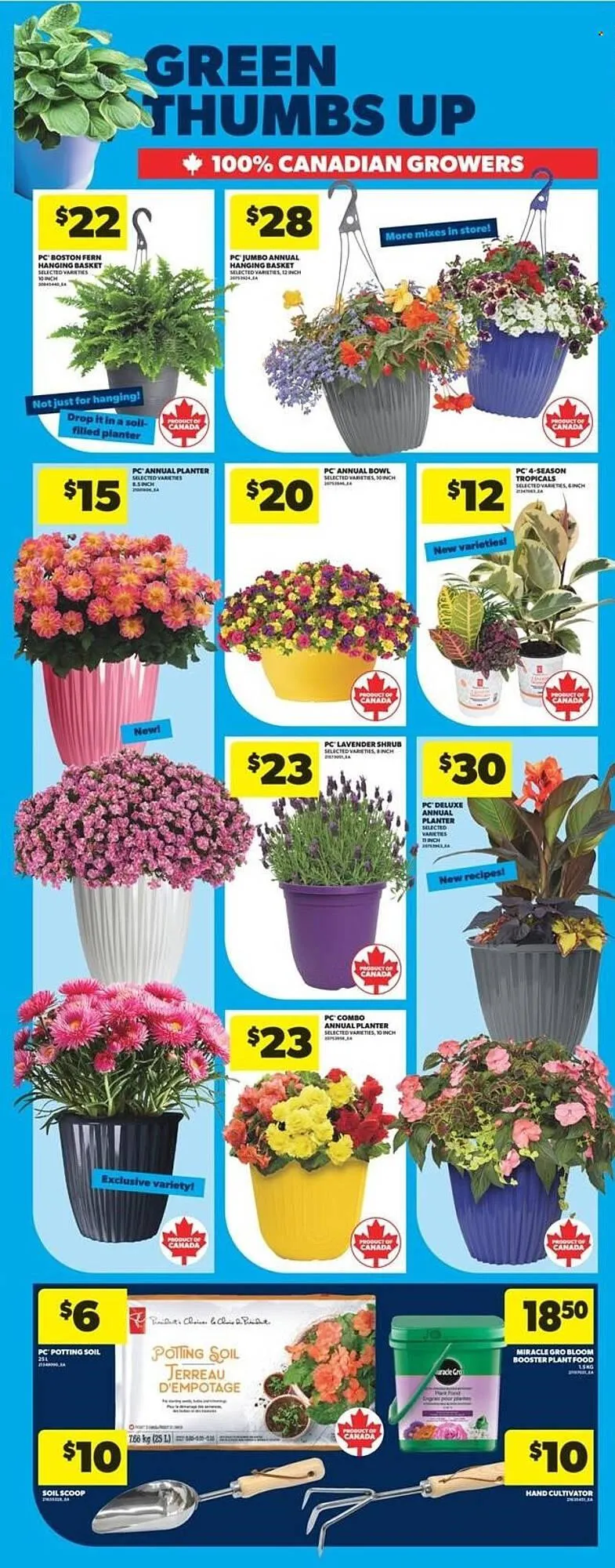 Real Canadian Superstore flyer from May 15 to May 21 2025 - flyer page 36