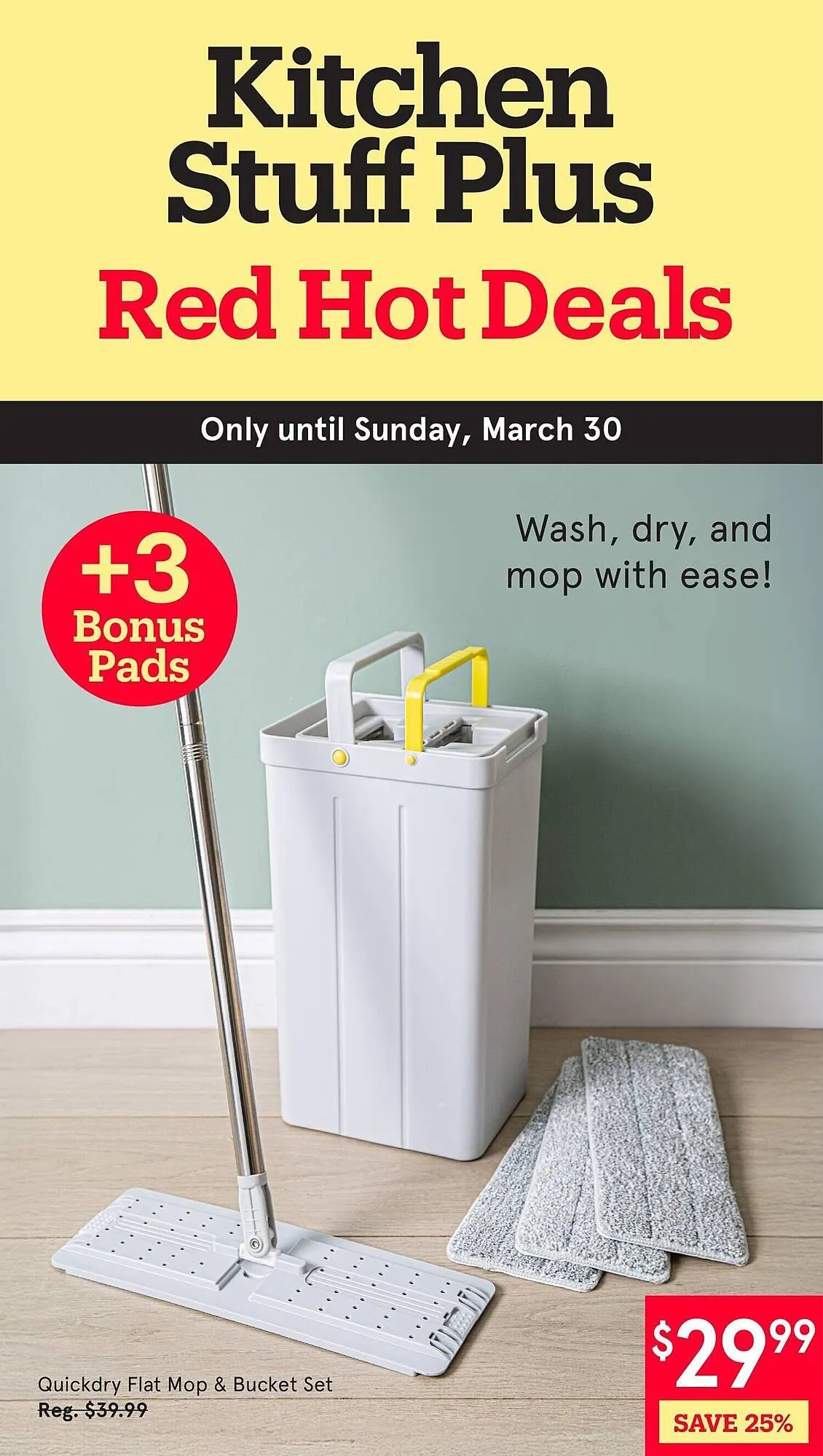 Kitchen Stuff Plus flyer from March 24 to March 31 2025 - flyer page 1