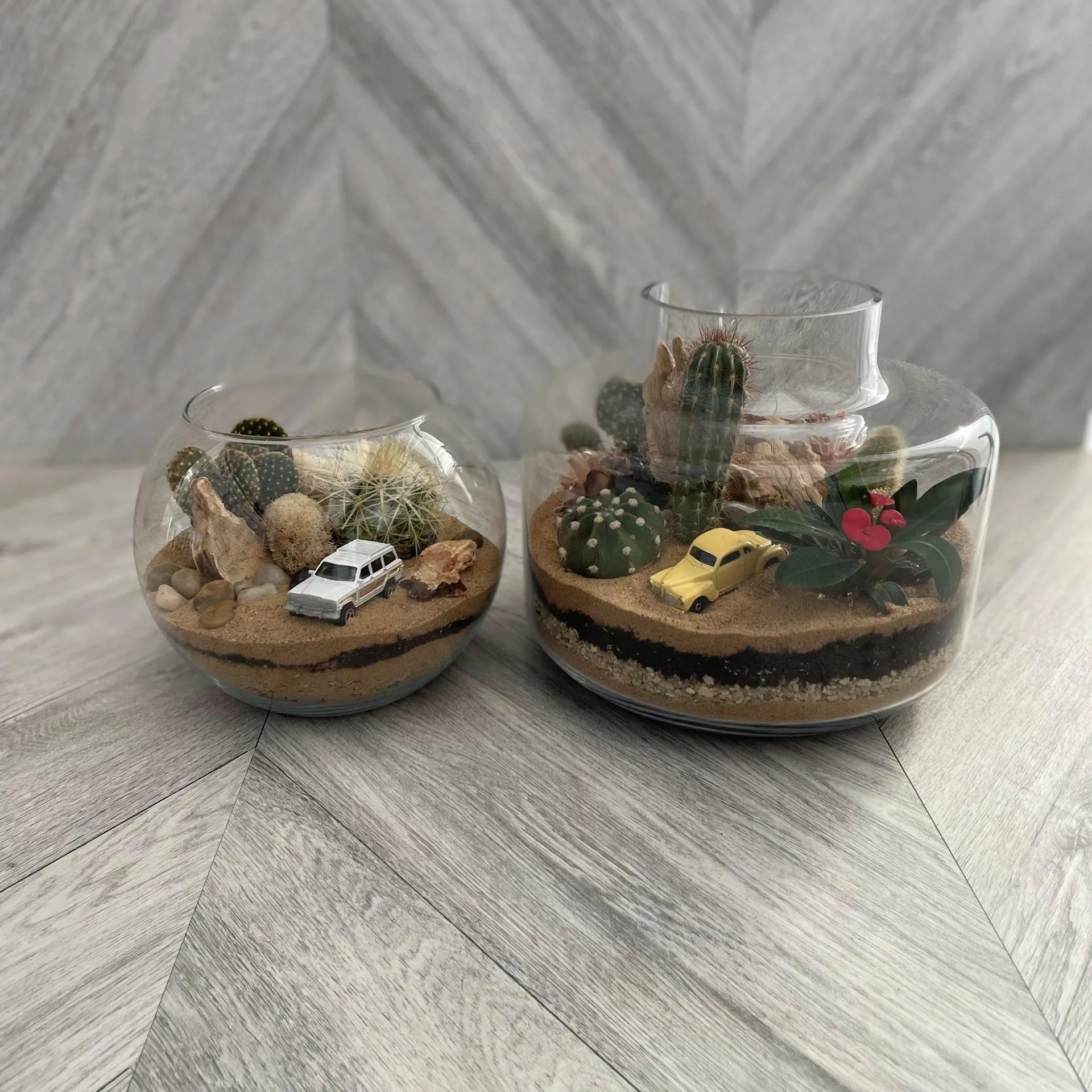 Desert Drive Terrarium