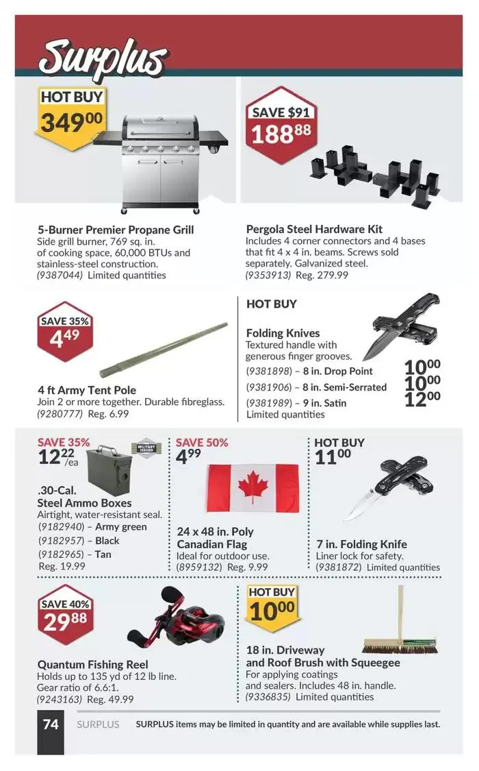 National Sale from March 11 to March 23 2025 - flyer page 79