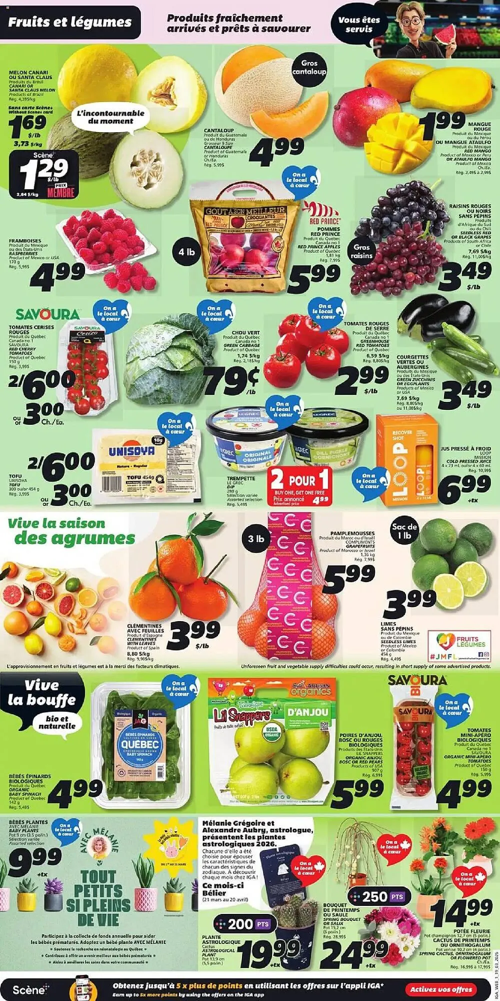 IGA flyer from March 19 to March 25 2026 - flyer page 3