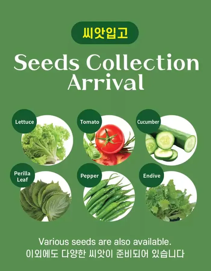 Our best offers for you from March 14 to March 28 2025 - flyer page 9