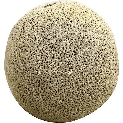 Jumbo Cantaloupe Melons