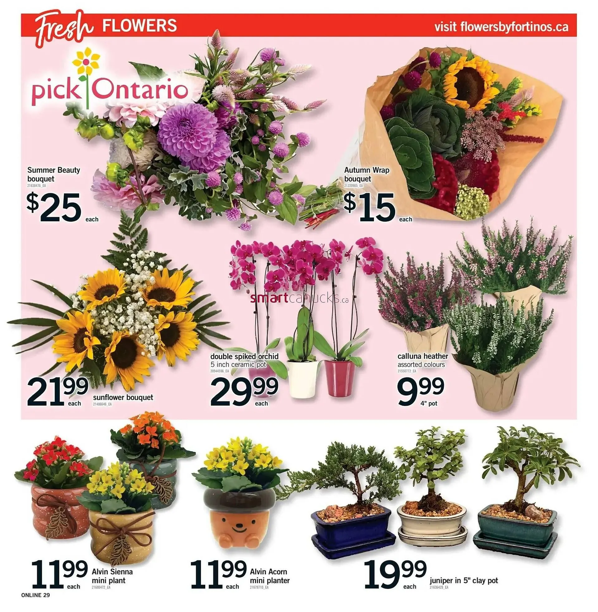 Fortinos flyer from August 28 to September 3 2025 - flyer page 28