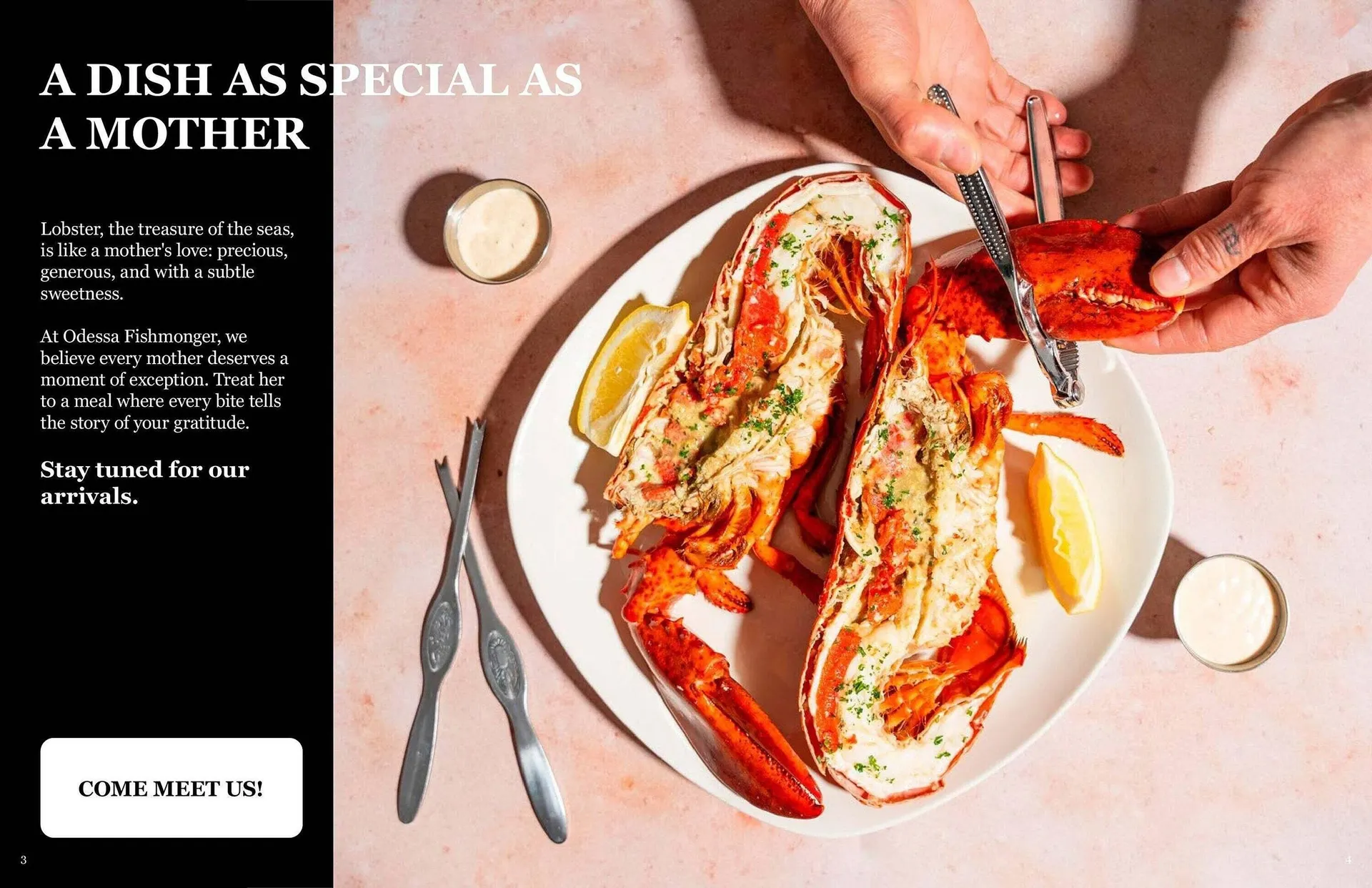 Odessa Poissonnier flyer from May 2 to May 9 2025 - flyer page 3