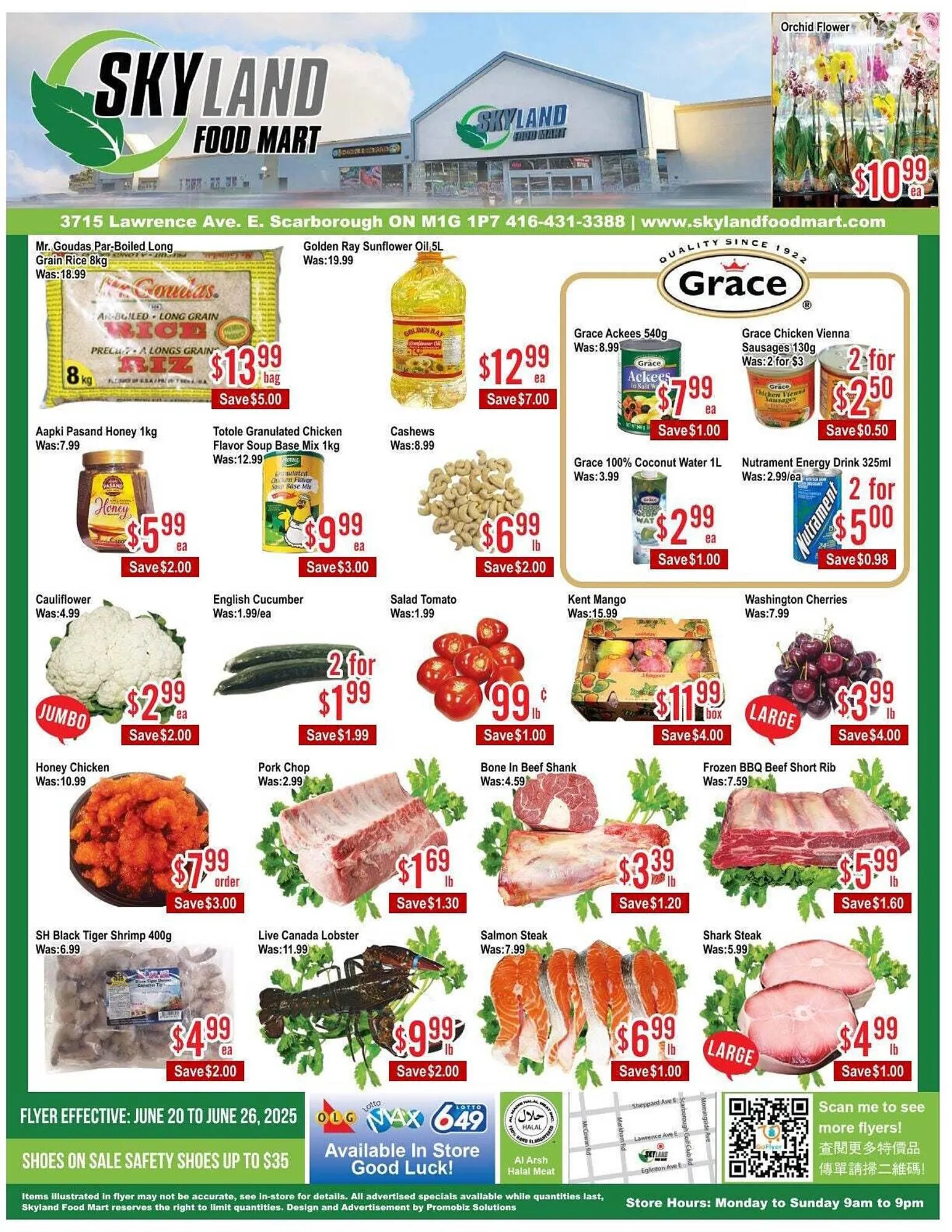 Skyland Foodmart flyer - 1