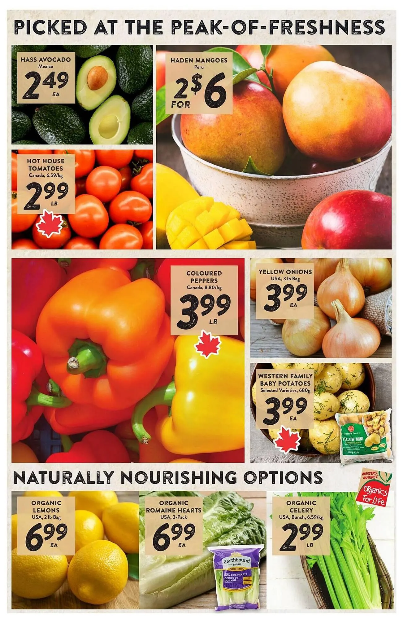 Nesters Market flyer from January 22 to January 28 2026 - flyer page 2