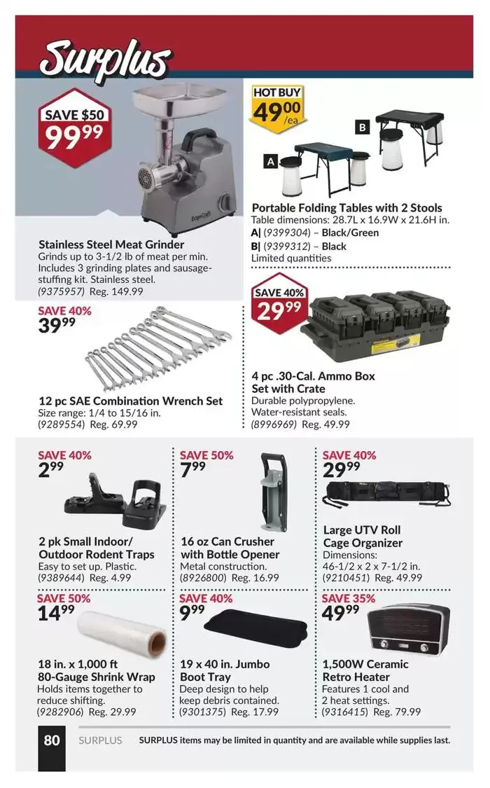 National Sale from March 25 to April 6 2025 - flyer page 85