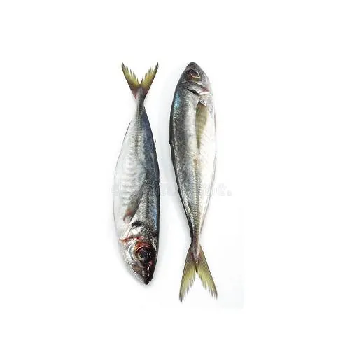 Delicious Flame Mackerel 500g