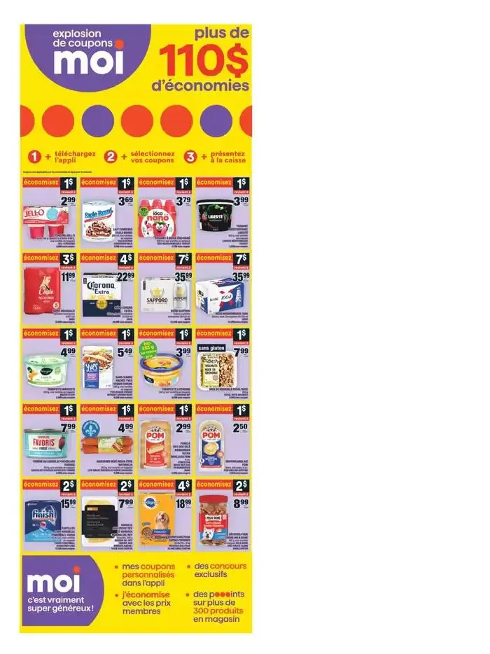 Circulaire from January 9 to January 15 2025 - flyer page 15