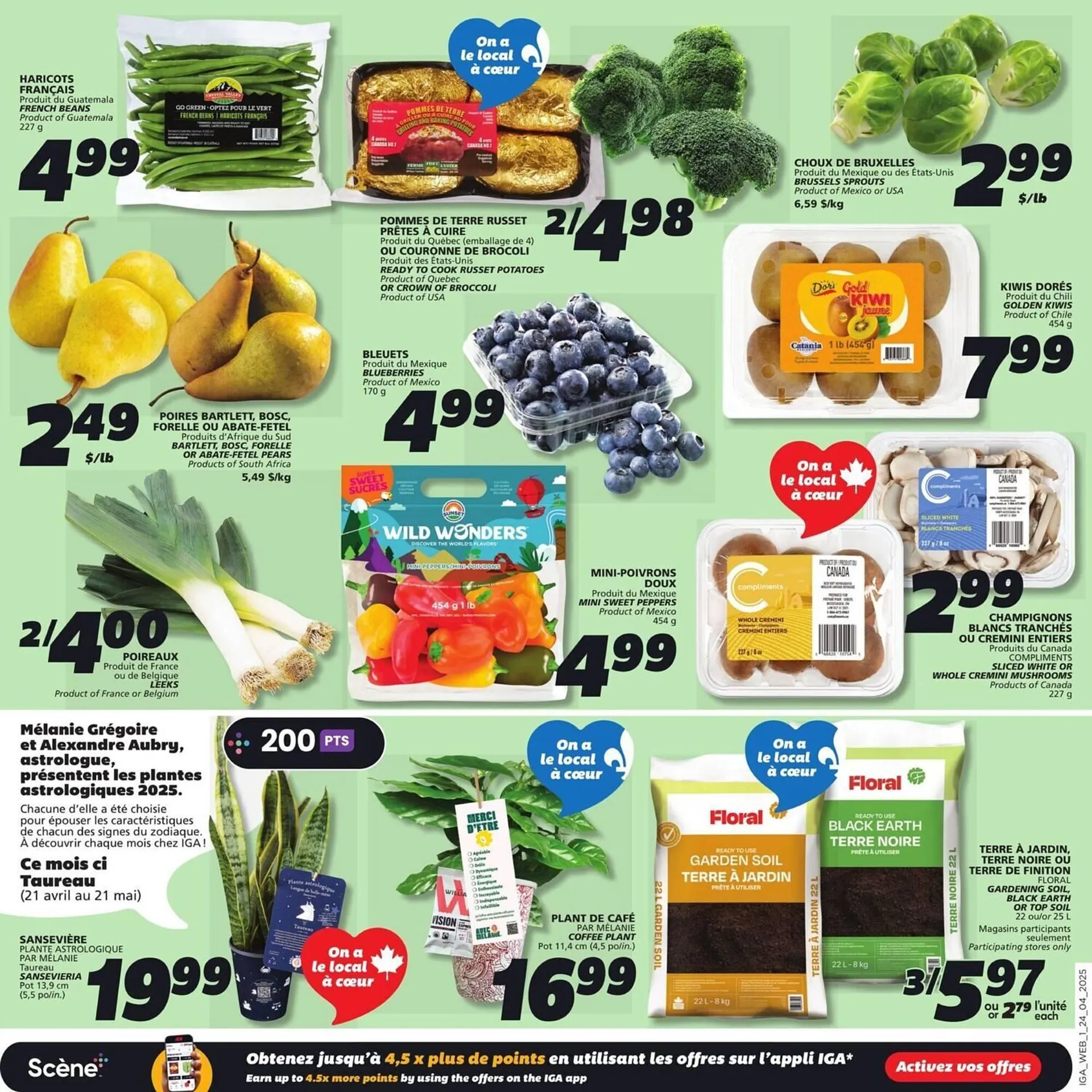 IGA flyer from April 24 to May 1 2025 - flyer page 11