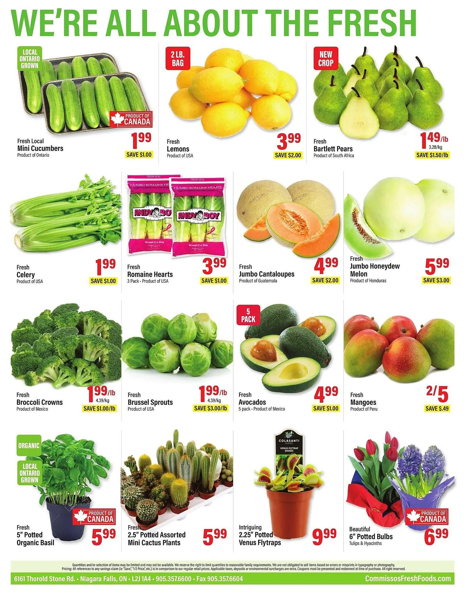 Commisso's Fresh Foods flyer from March 27 to April 2 2025 - flyer page 10