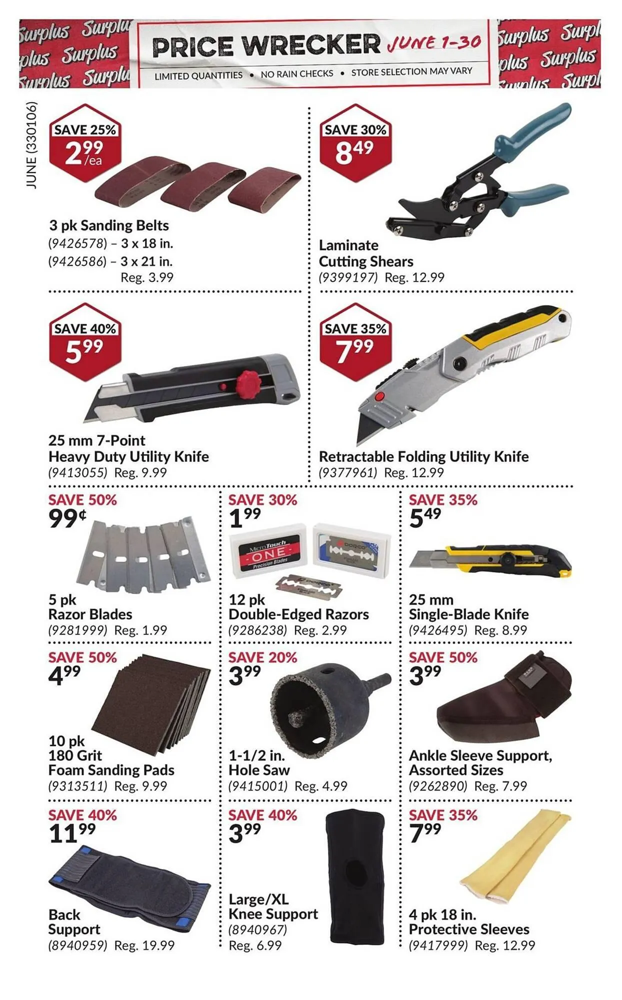 Princess Auto flyer from June 1 to June 30 2025 - flyer page 21