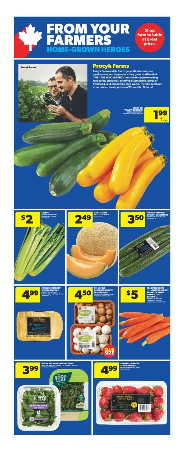 Discounts and promotions from August 22 to August 28 2024 - flyer page 10