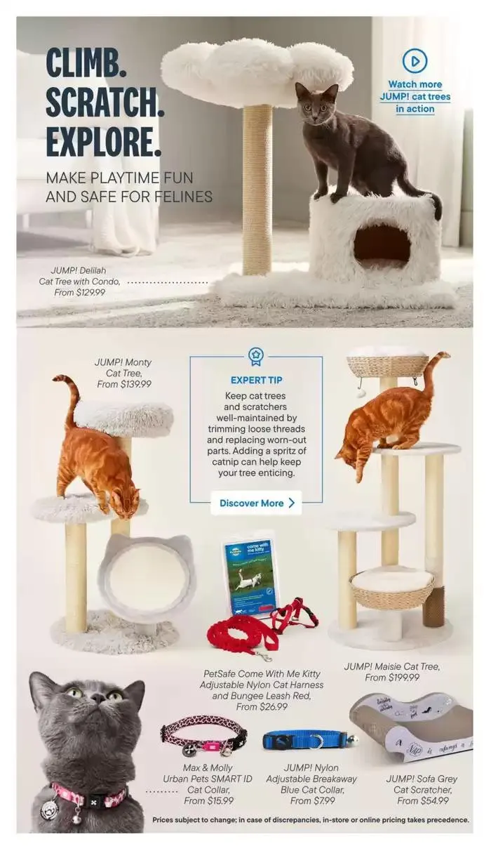 Devoted Cat Parent Guide from March 3 to March 31 2025 - flyer page 18