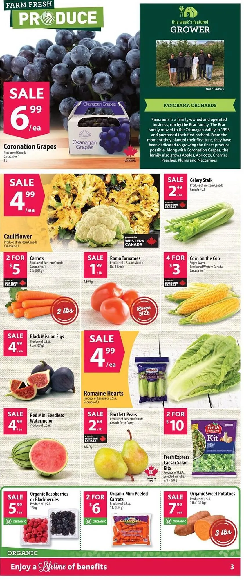 Co-Op Food flyer from September 11 to September 17 2025 - flyer page 6