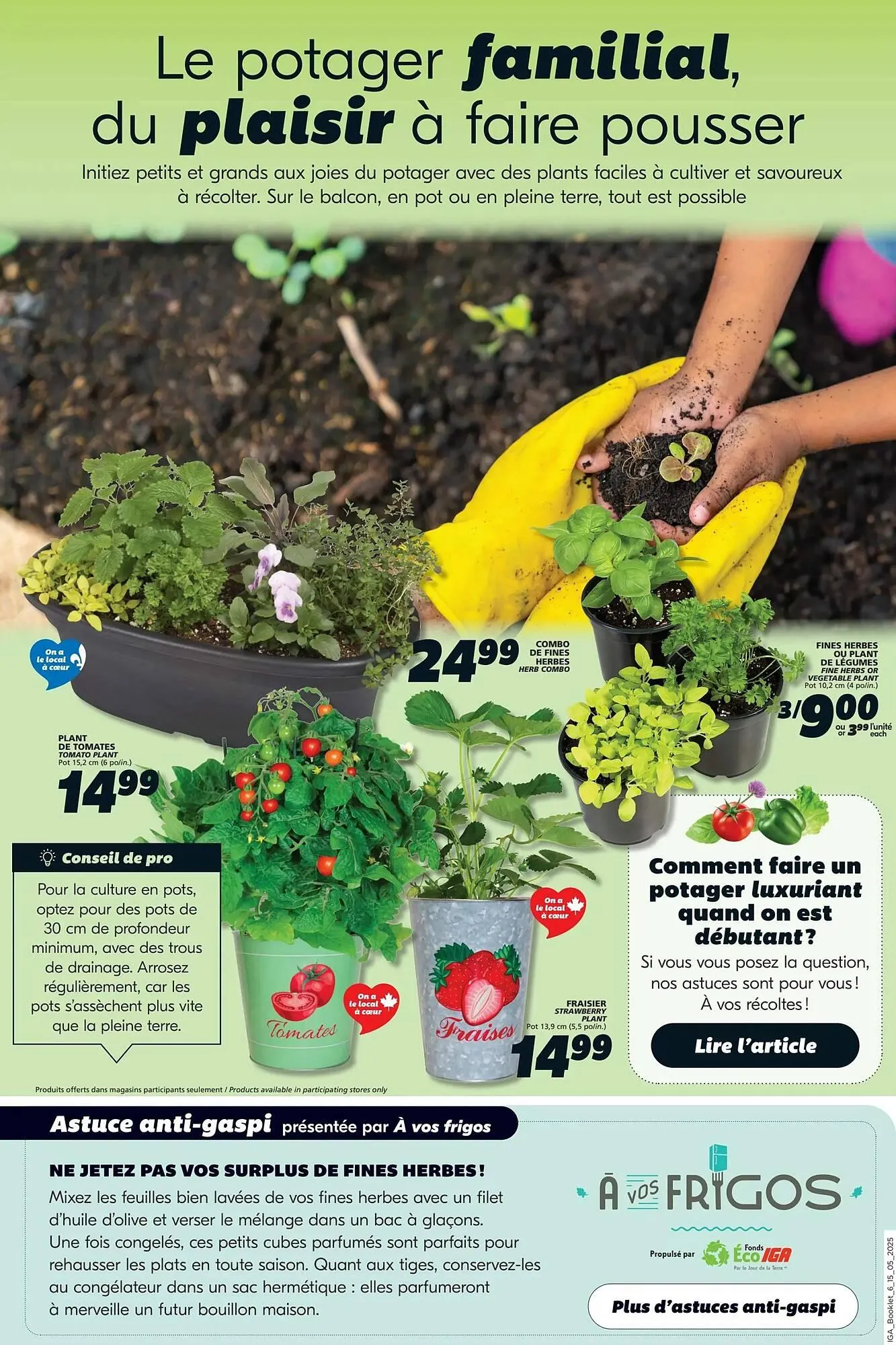 IGA flyer from May 15 to May 21 2025 - flyer page 38