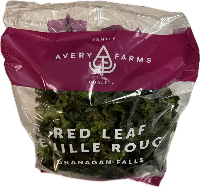 Avery Farms - Sweet Leaf Living Lettuce