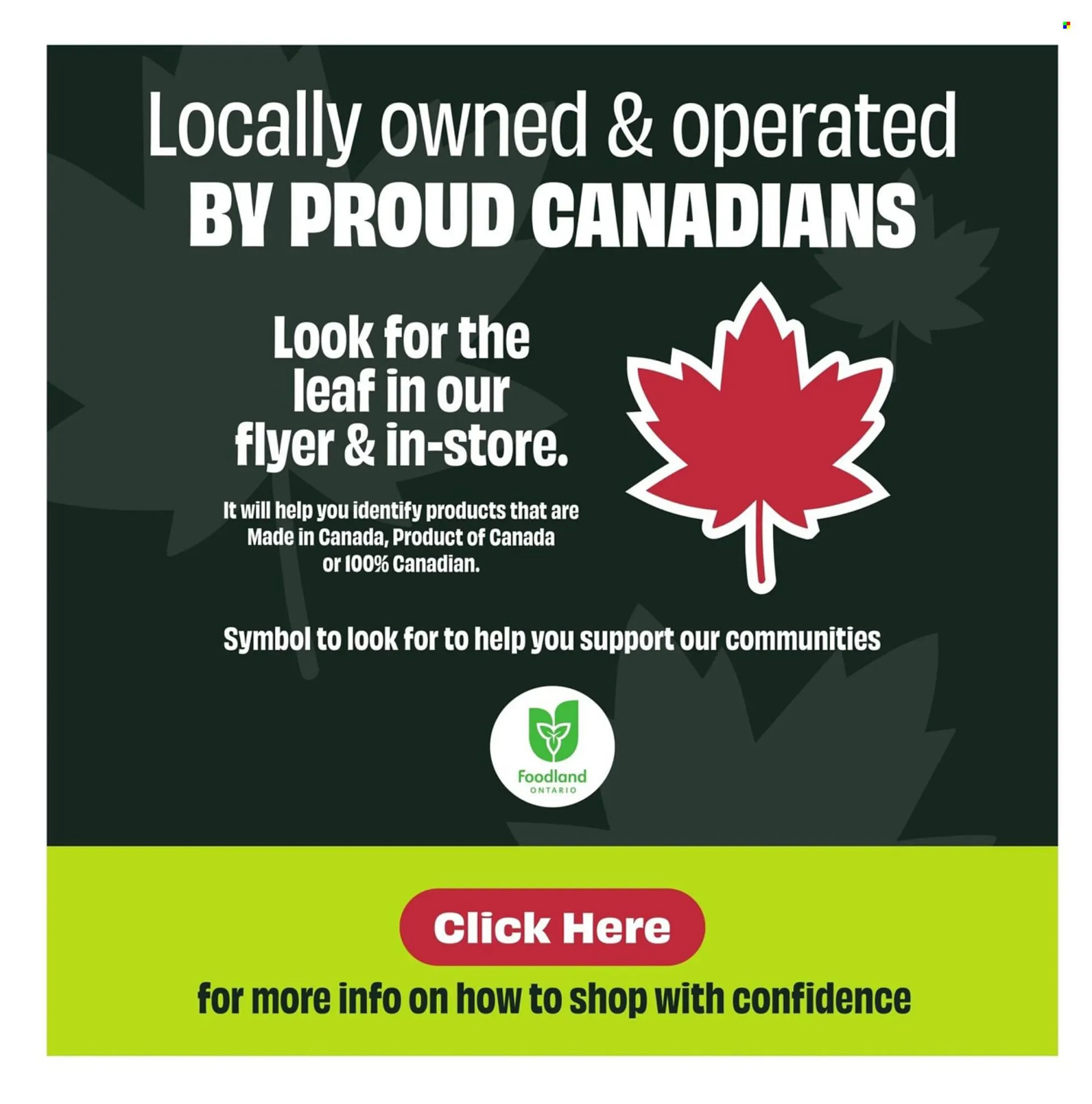 FreshCo flyer from July 17 to July 23 2025 - flyer page 2