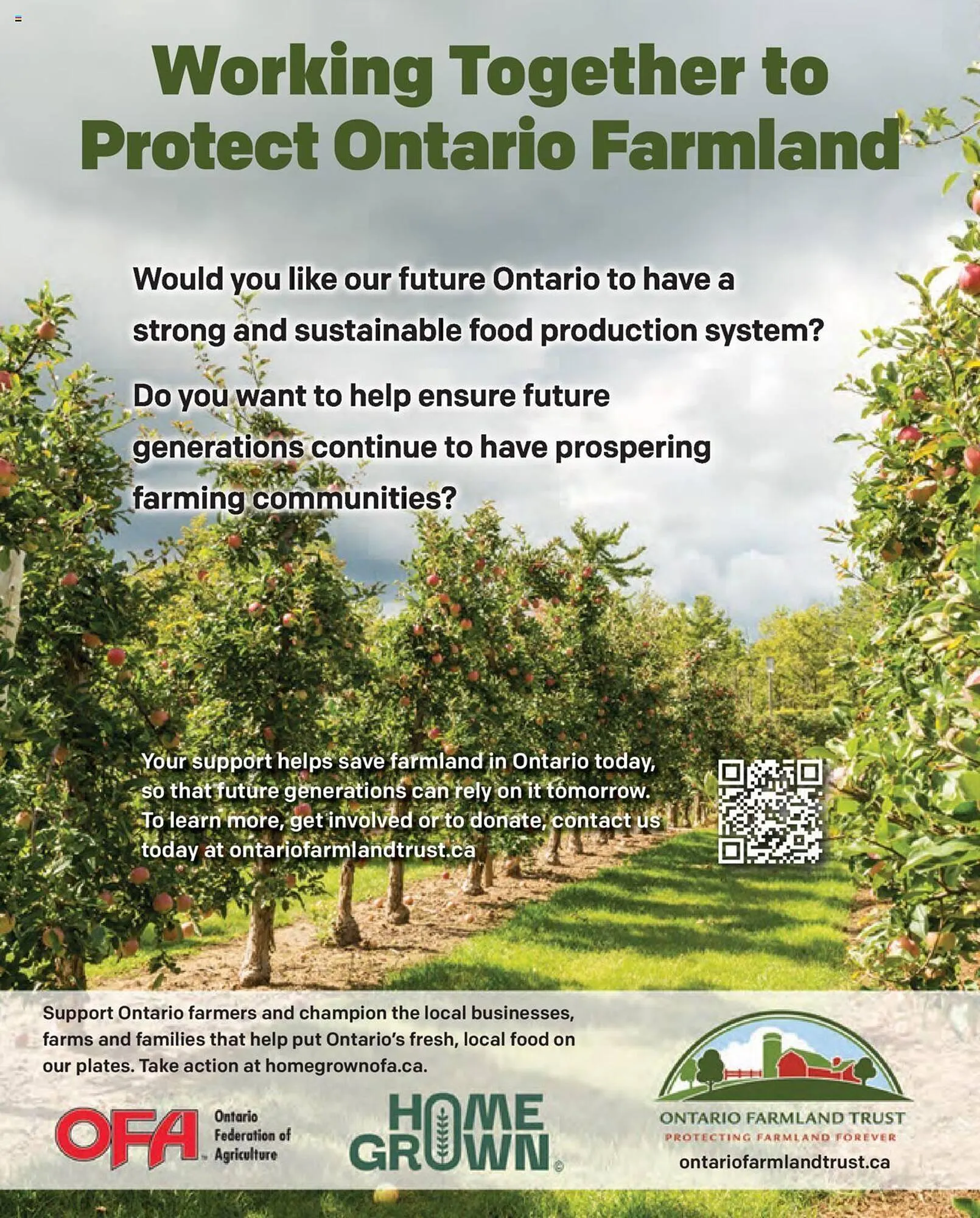 LCBO flyer from September 1 to September 12 2024 - flyer page 267