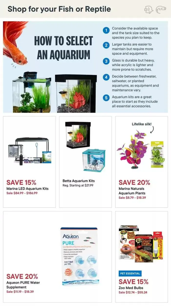 Seet Deals from January 30 to February 12 2025 - flyer page 24