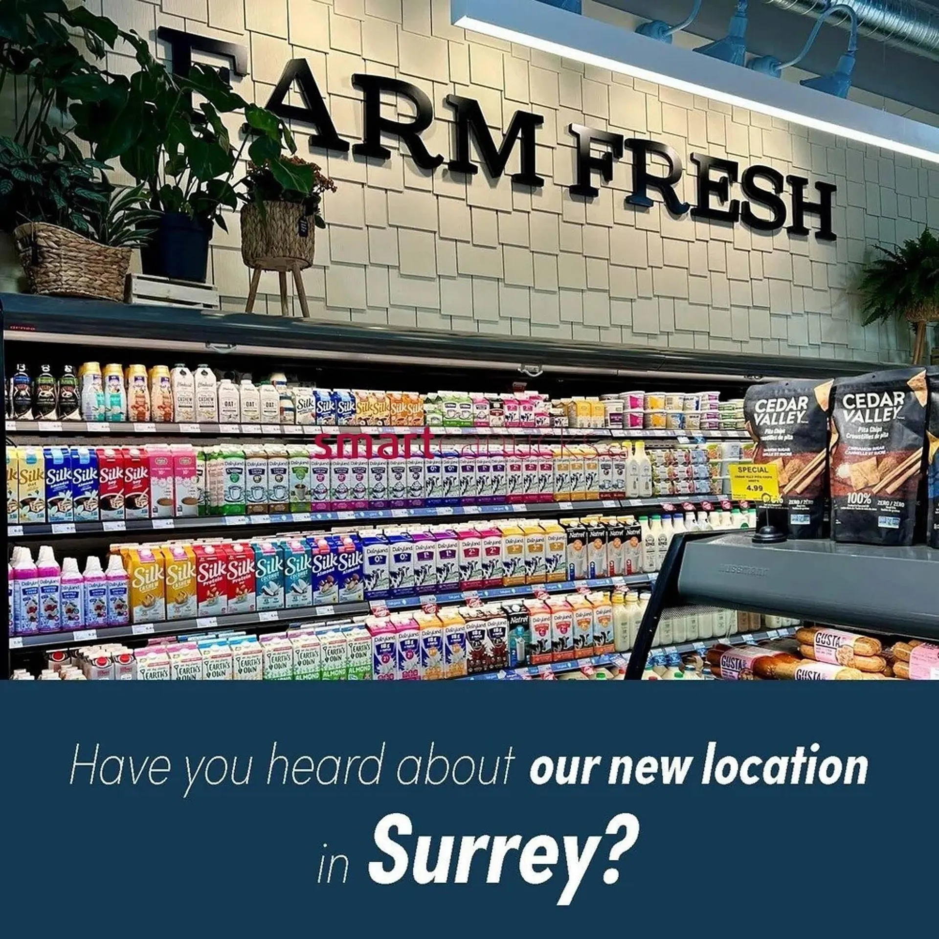 Stong's Market flyer from January 9 to January 22 2026 - flyer page 4