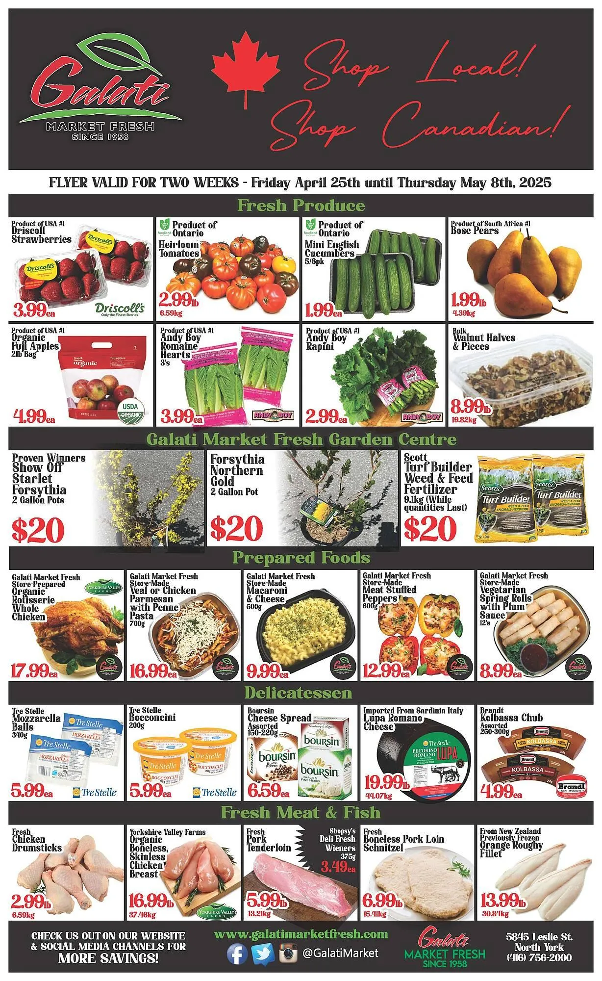 Galati Market Fresh flyer - 1