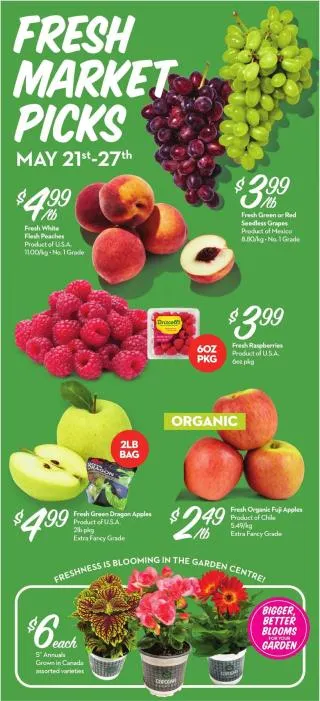 Longo's Flyer from May 21 to May 27 2026 - flyer page 2