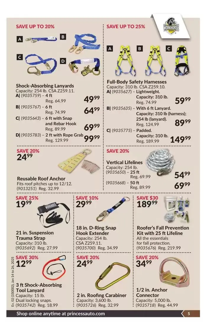 National Sale from January 14 to January 26 2025 - flyer page 10