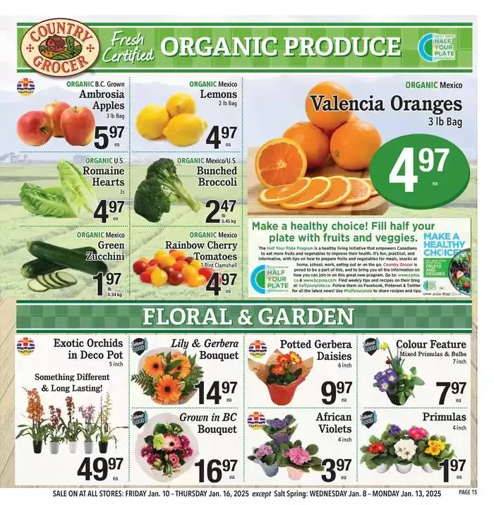 New offers to discover from January 8 to January 15 2025 - flyer page 15