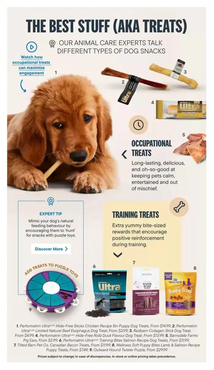 Devoted Dog Parent Guide from February 13 to February 28 2025 - flyer page 13