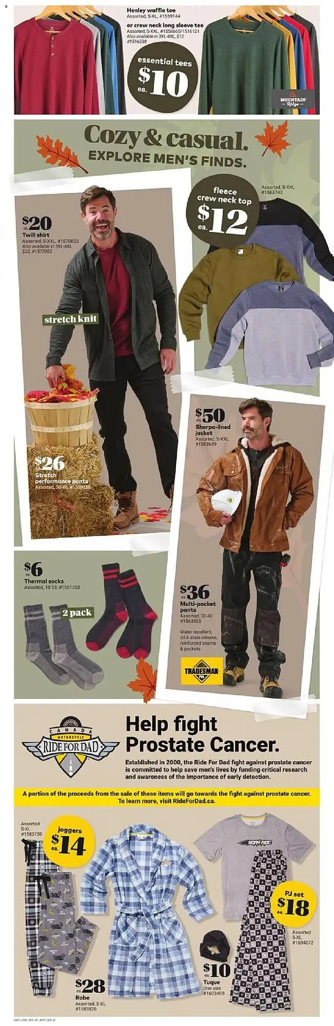 Giant Tiger flyer from October 22 to October 28 2025 - flyer page 7