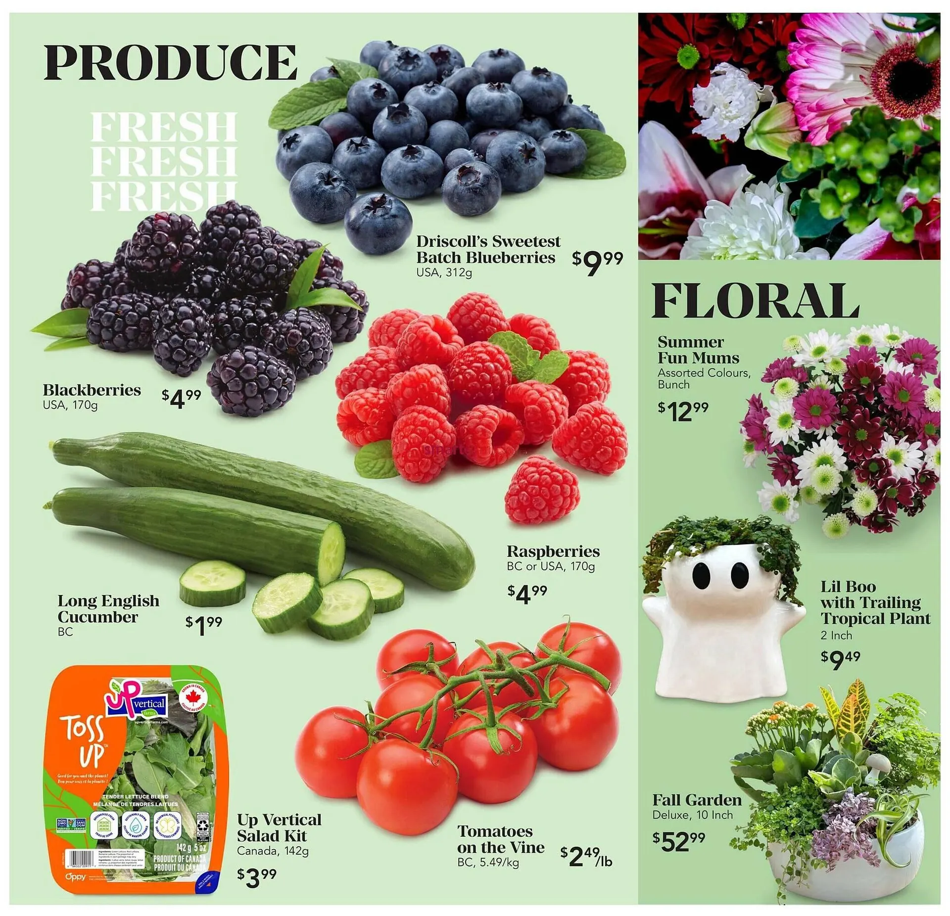 Urban Fare flyer from October 15 to November 11 2025 - flyer page 2