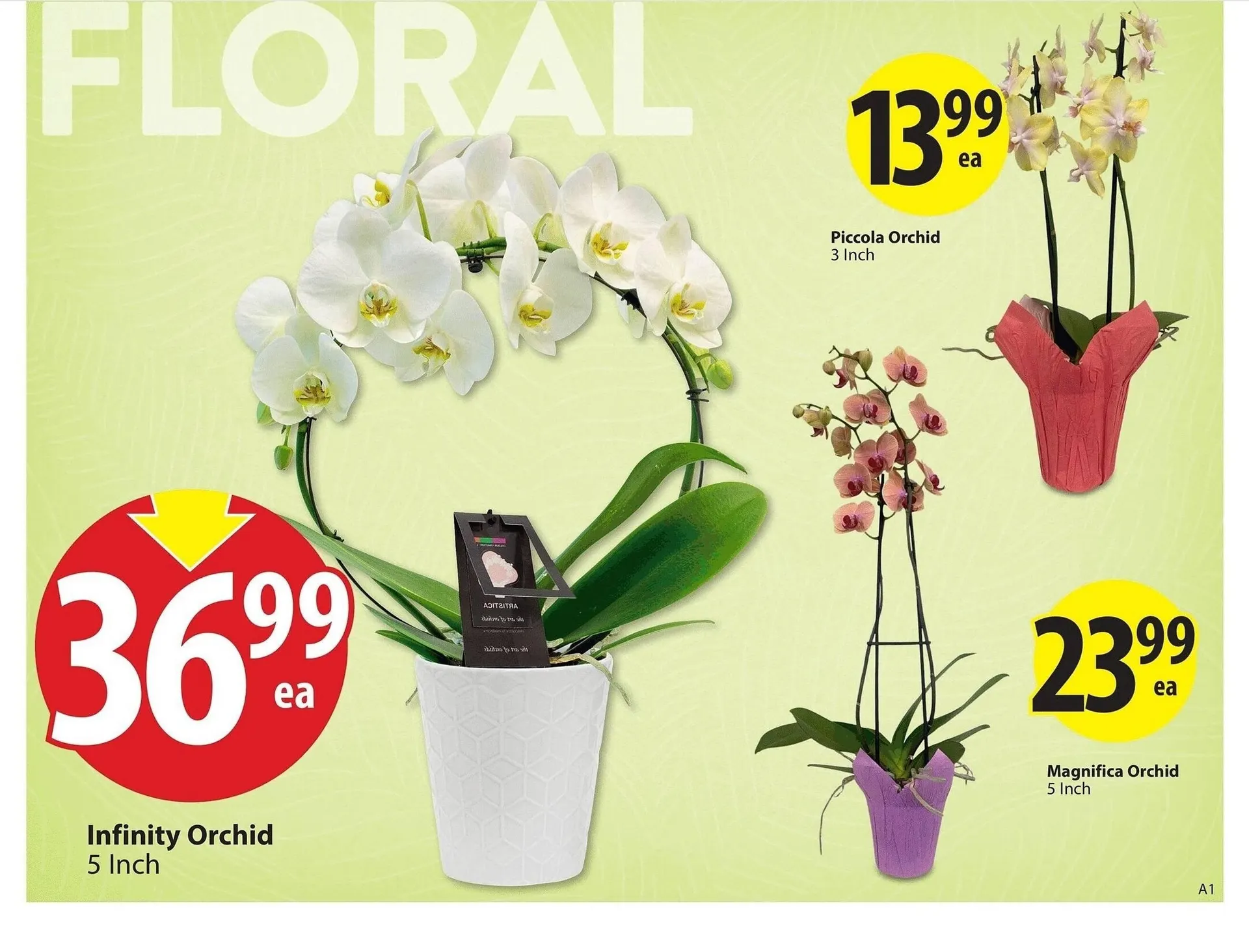 Save on Foods flyer from July 17 to July 30 2025 - flyer page 4