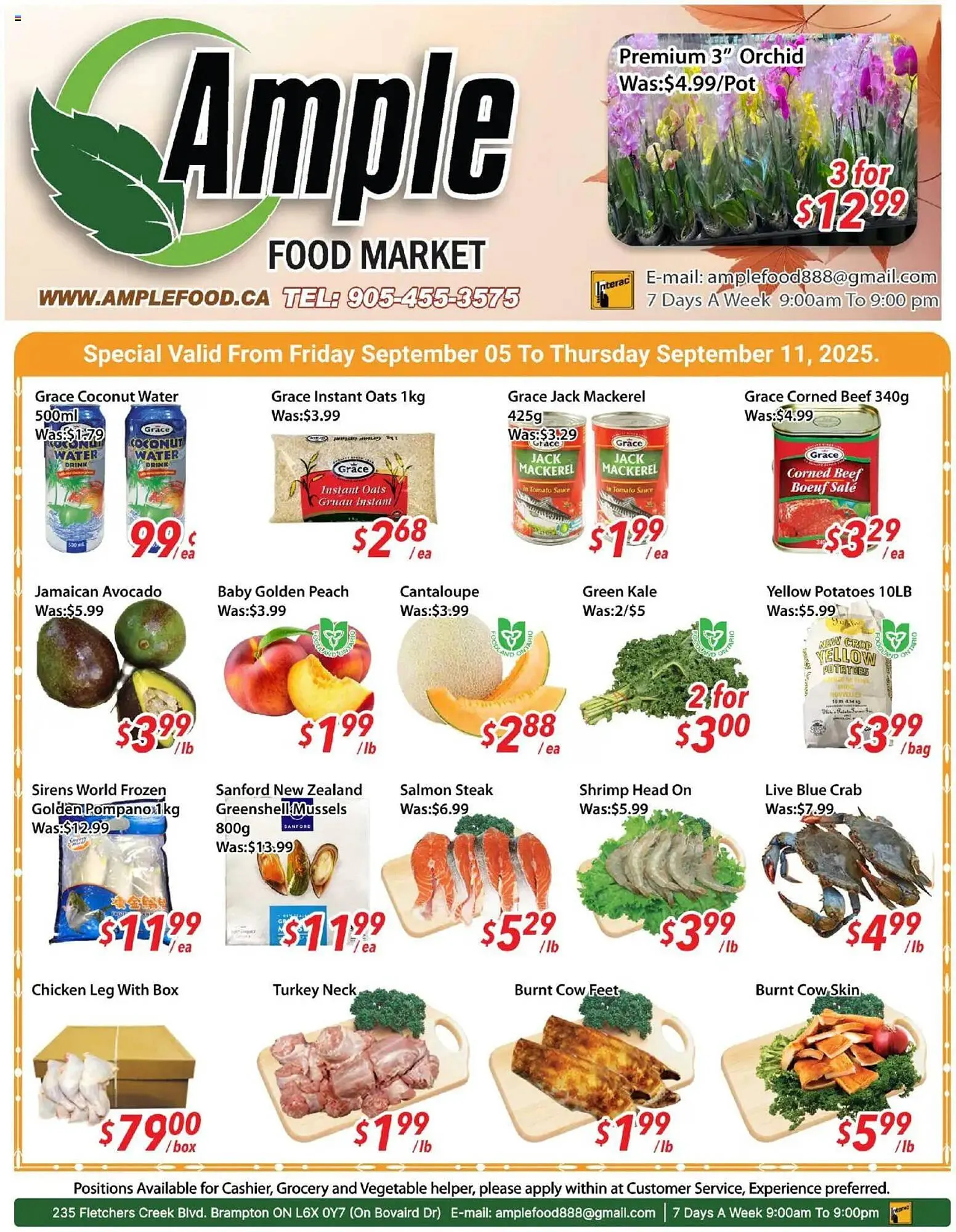 Ample Food Market flyer from September 5 to September 12 2025 - flyer page 1