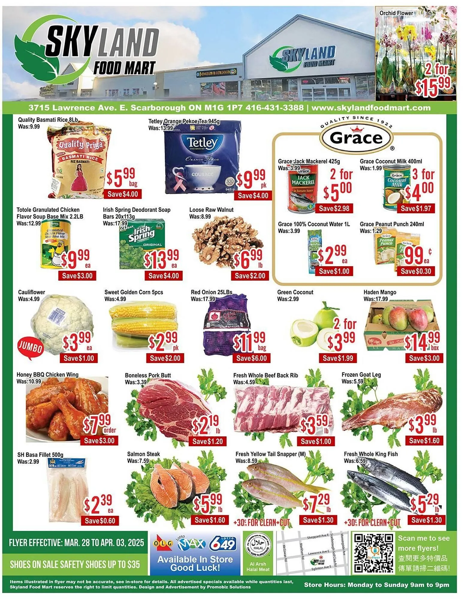 Skyland Foodmart flyer from March 28 to April 4 2025 - flyer page 1