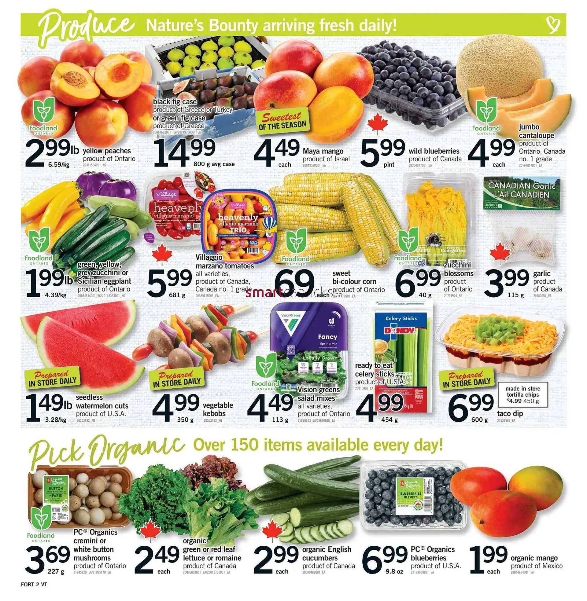 Fortinos flyer from August 7 to August 13 2025 - flyer page 3