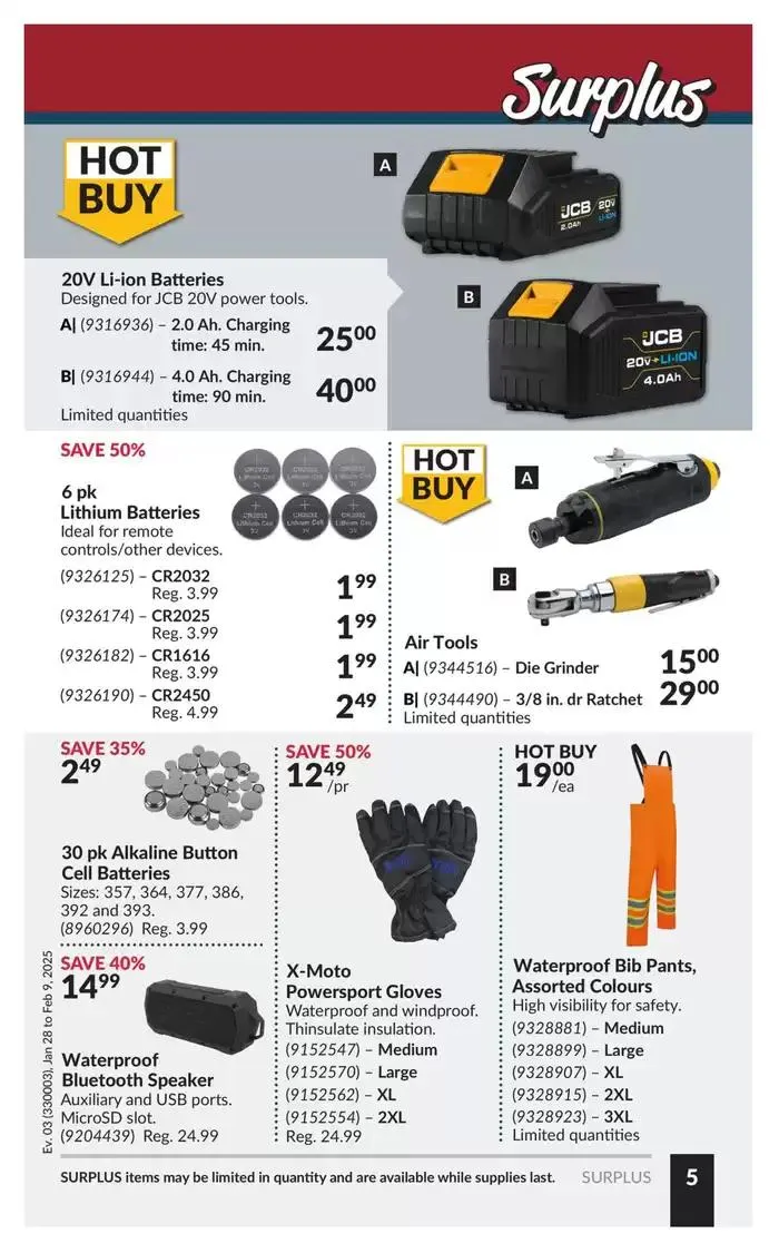 Discounts and promotions from January 28 to February 9 2025 - flyer page 10