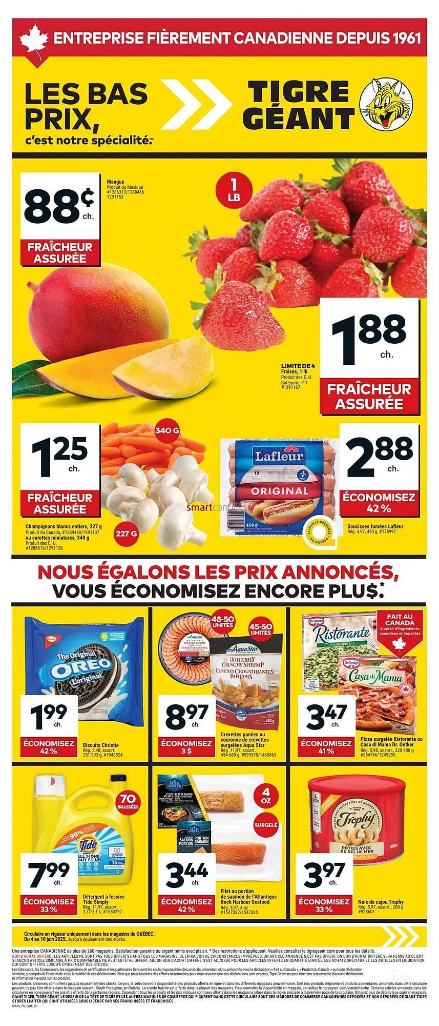 Giant Tiger flyer - 1