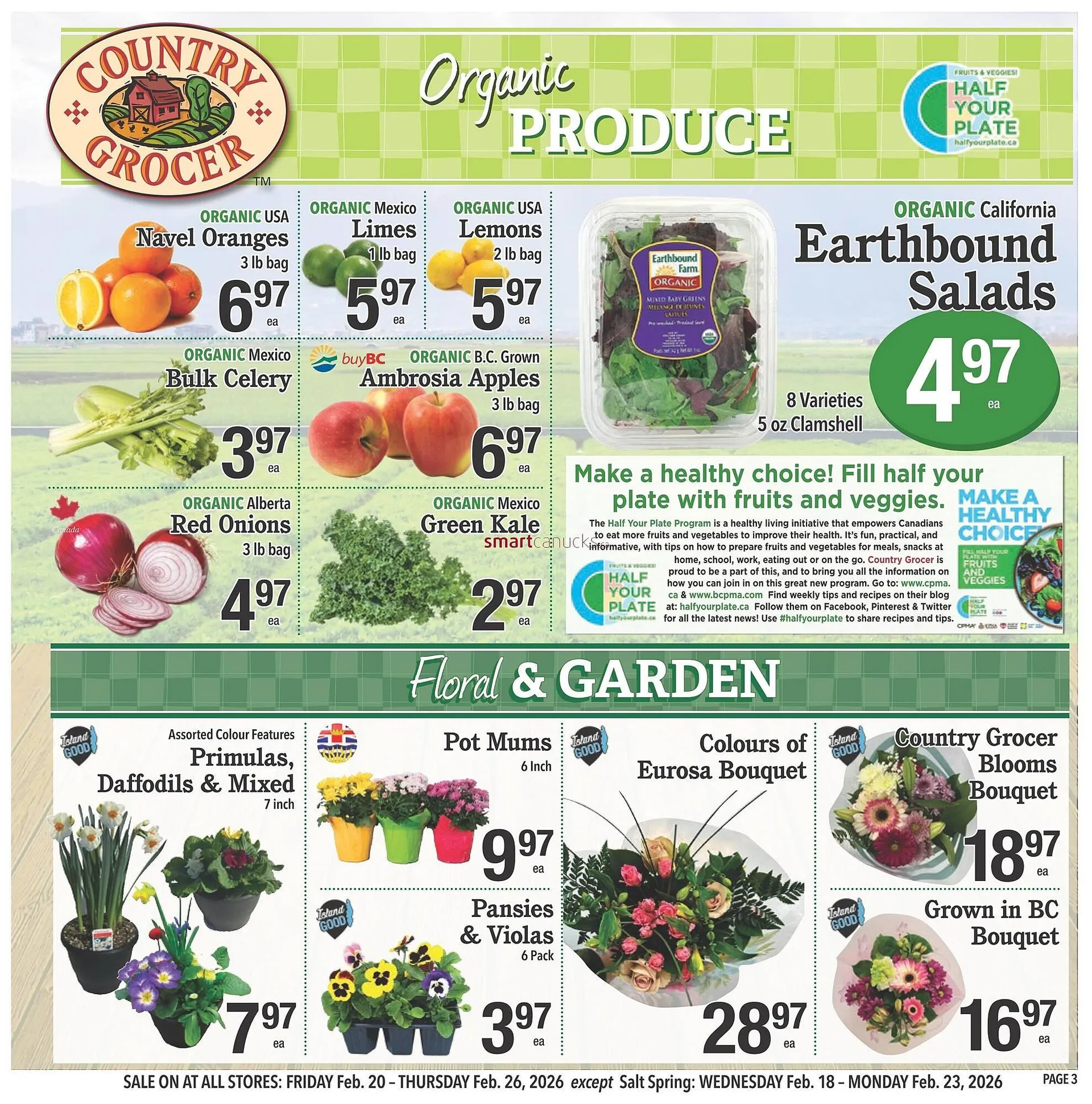 Country Grocer flyer from February 20 to February 26 2026 - flyer page 3