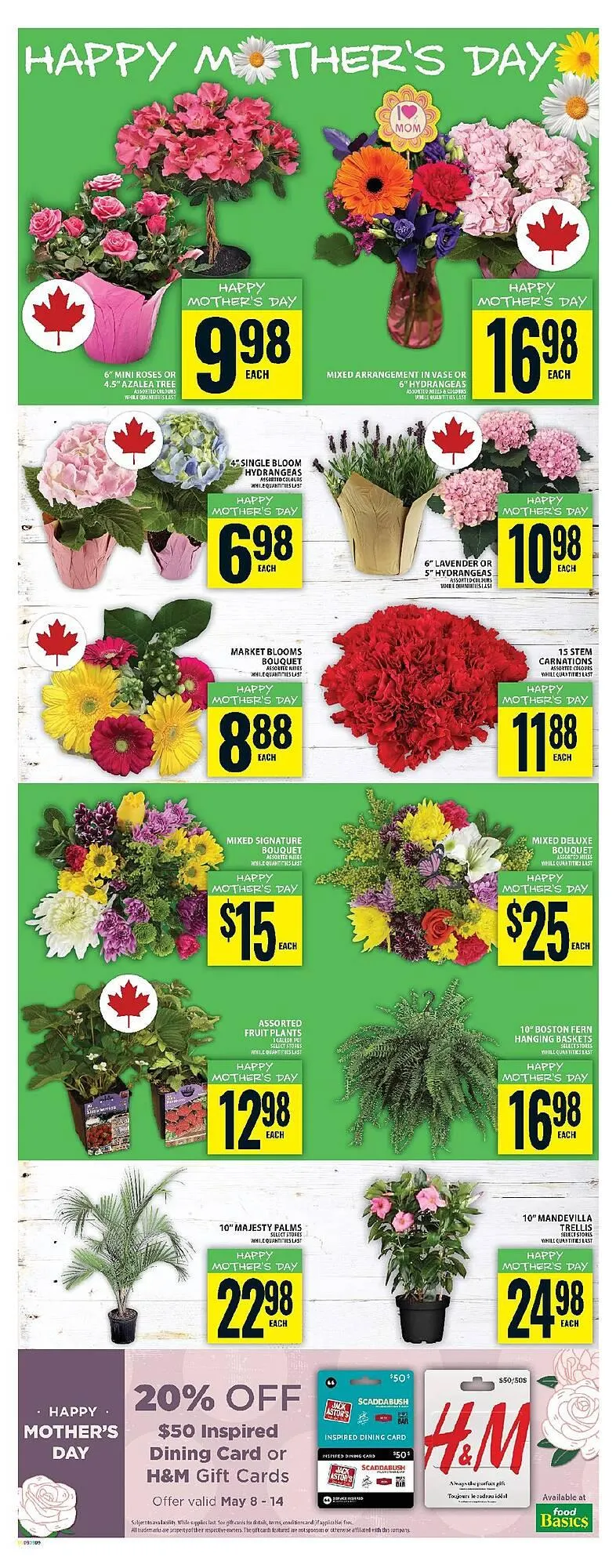 Food Basics flyer from May 8 to May 14 2025 - flyer page 21