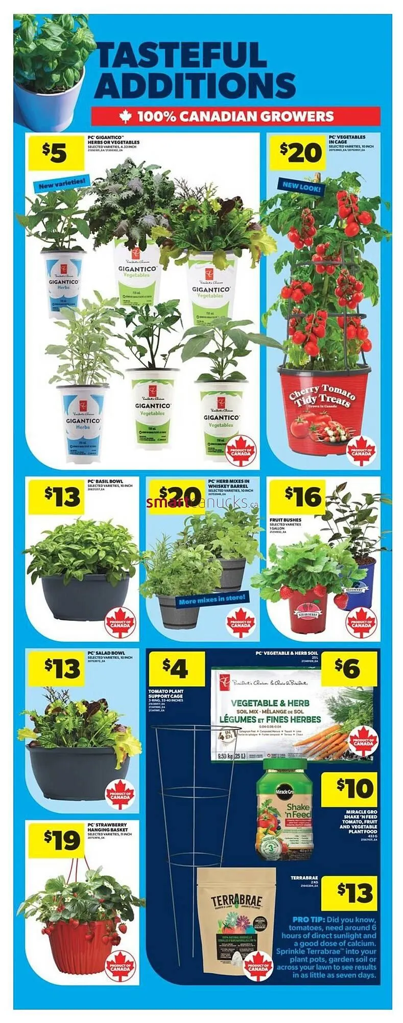 Real Canadian Superstore flyer from May 15 to May 21 2025 - flyer page 39