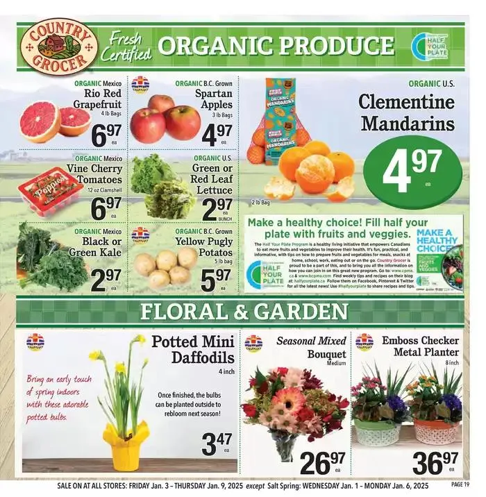 Offers for bargain hunters from January 1 to January 8 2025 - flyer page 19