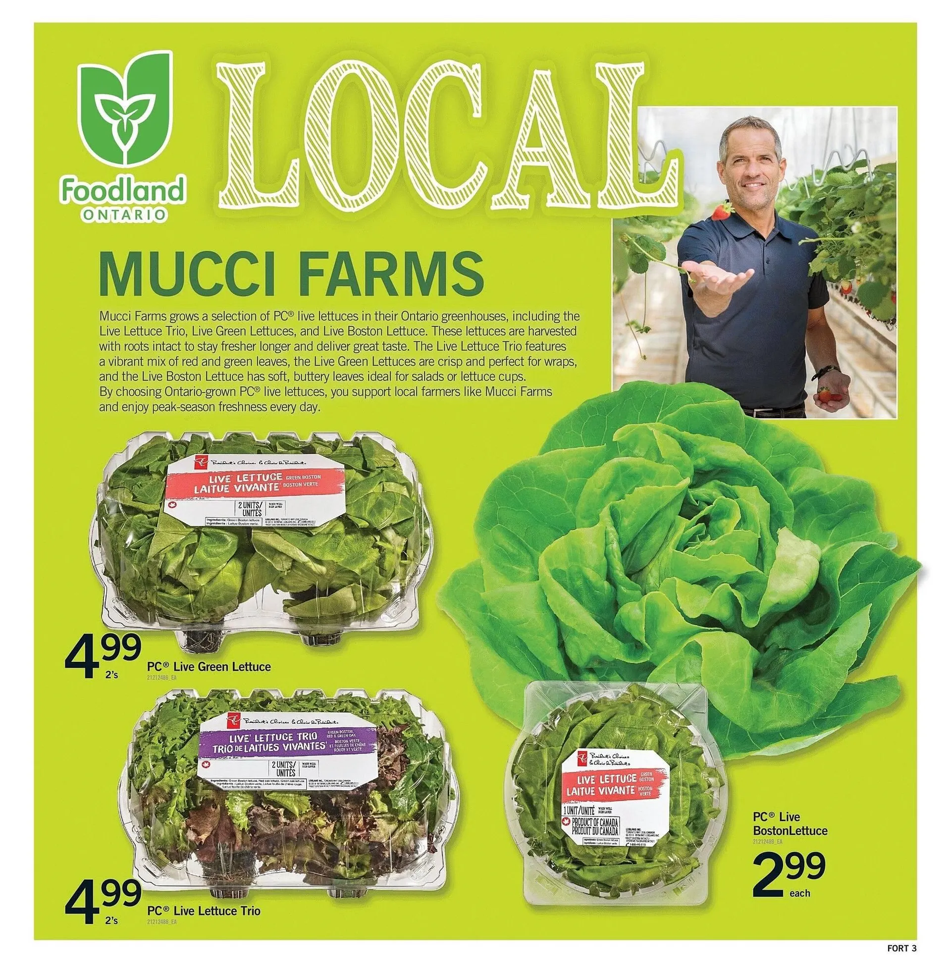 Fortinos flyer from July 3 to July 16 2025 - flyer page 4