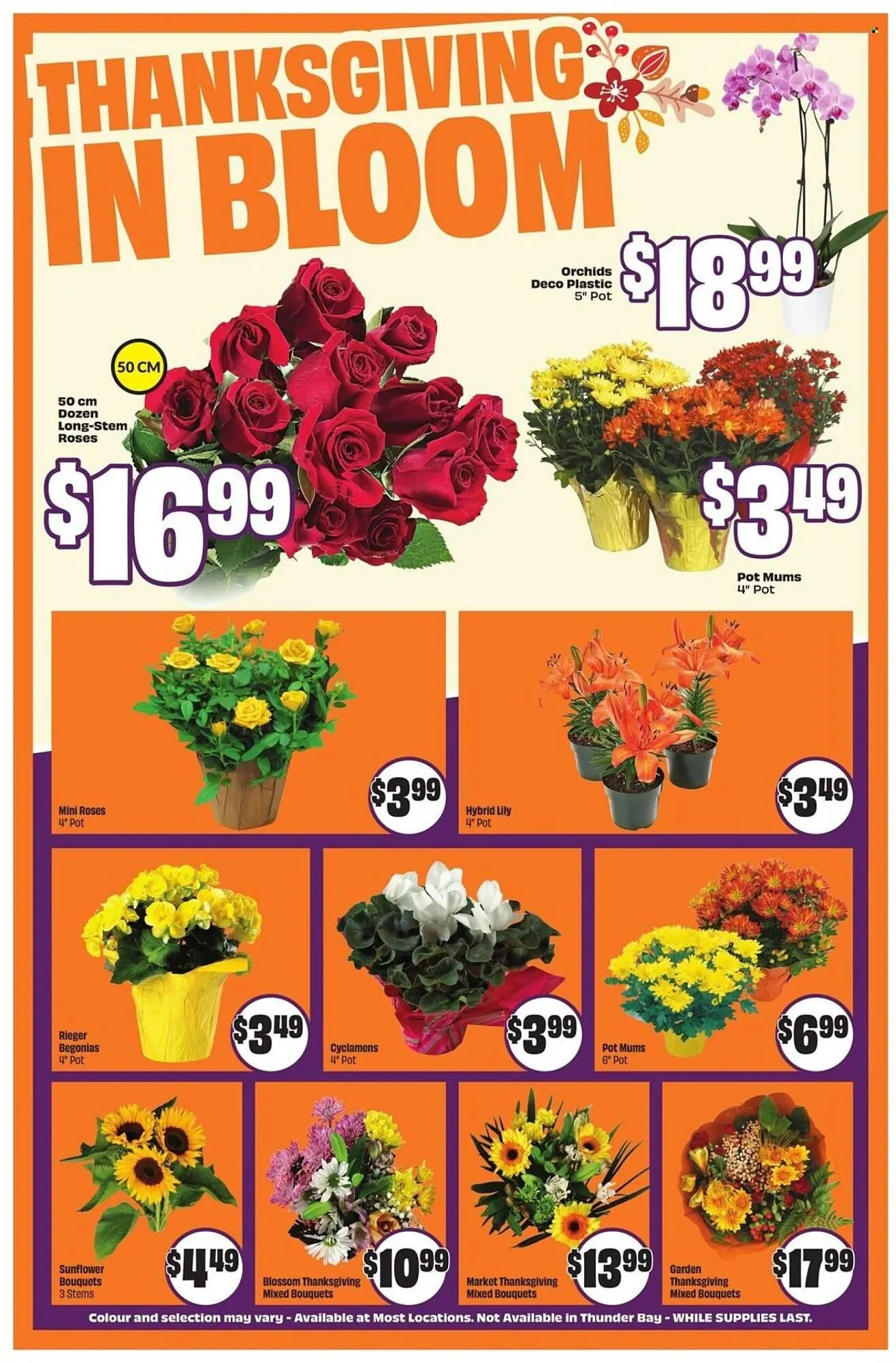 FreshCo flyer from October 9 to October 15 2025 - flyer page 6