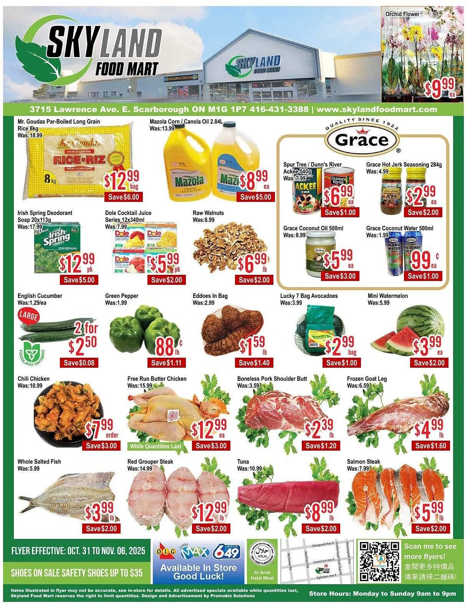 Skyland Foodmart flyer from October 31 to November 7 2025 - flyer page 1
