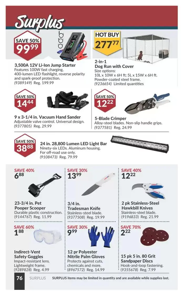 National Sale from March 11 to March 23 2025 - flyer page 81